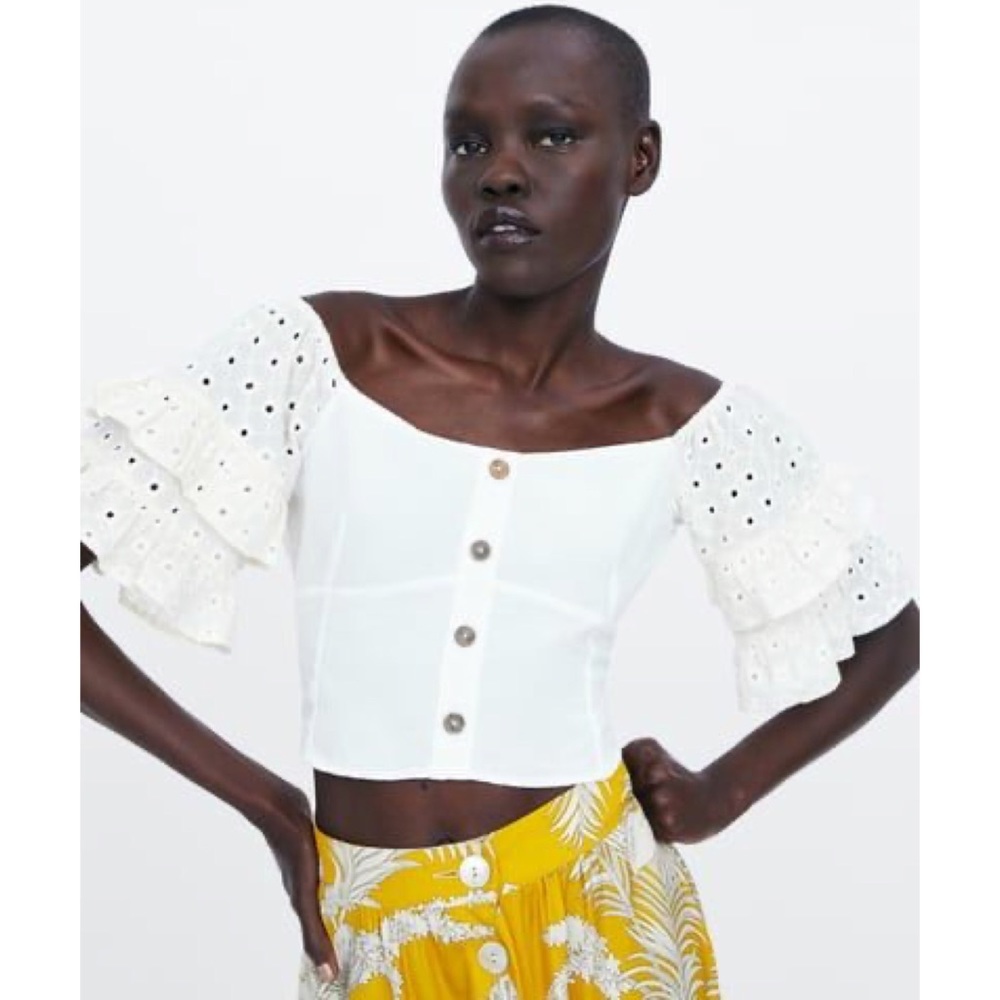 Zara Ruffled Steve Crop Top